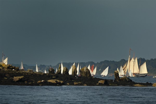 voiliers semaine golfe