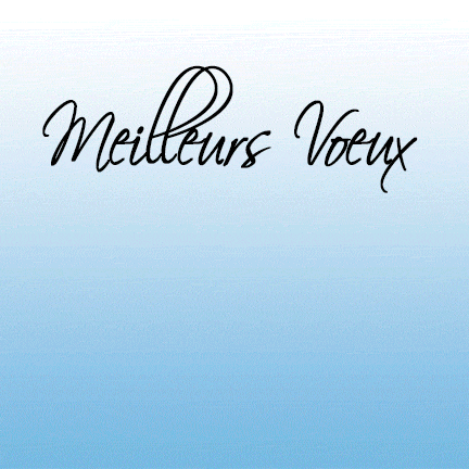 Bonnes Fêtes et Meilleurs Voeux 2017 2017 voeux400 web gif